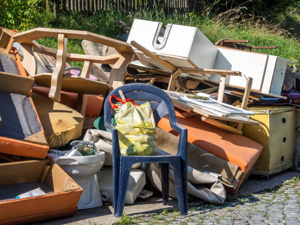 Best Professional Junk Removal  in Geneva, IL